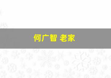 何广智 老家